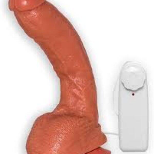 Vibrador penis com vibro 18cm