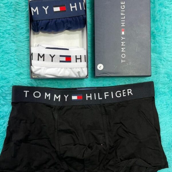 Boxer Tommy
