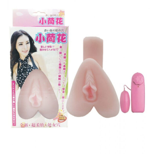 Vagina com vibro